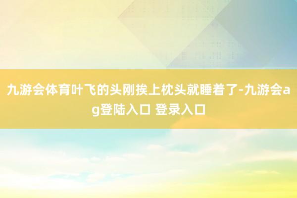 九游会体育叶飞的头刚挨上枕头就睡着了-九游会ag登陆入口 登录入口
