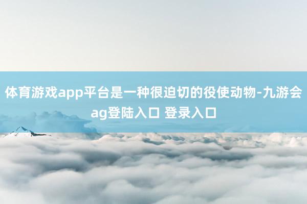 体育游戏app平台是一种很迫切的役使动物-九游会ag登陆入口 登录入口