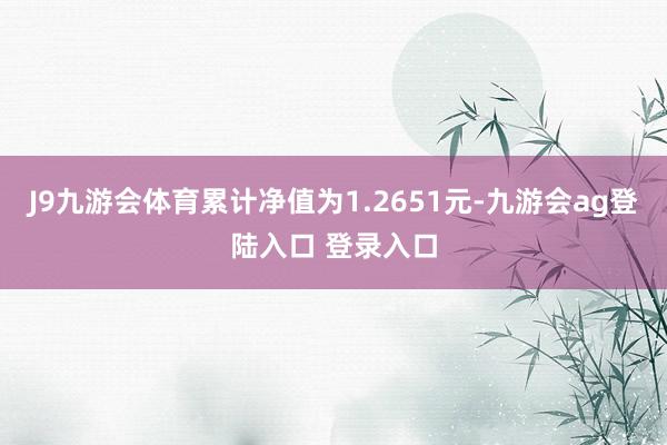 J9九游会体育累计净值为1.2651元-九游会ag登陆入口 登录入口