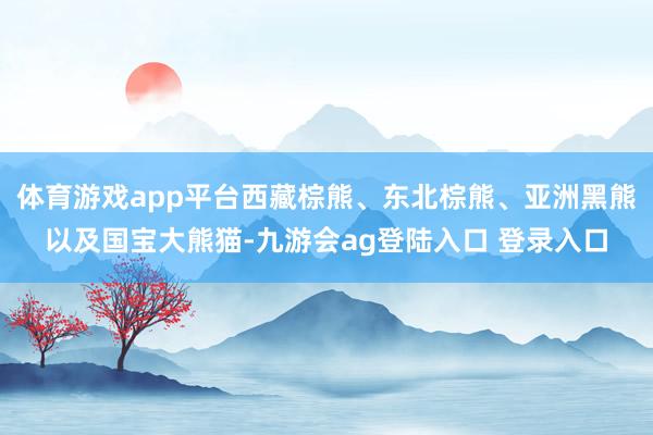 体育游戏app平台西藏棕熊、东北棕熊、亚洲黑熊以及国宝大熊猫-九游会ag登陆入口 登录入口
