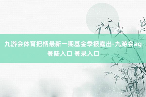 九游会体育把柄最新一期基金季报露出-九游会ag登陆入口 登录入口