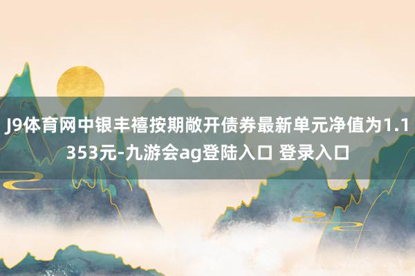J9体育网中银丰禧按期敞开债券最新单元净值为1.1353元-九游会ag登陆入口 登录入口