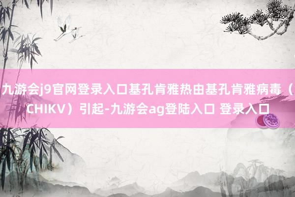 九游会j9官网登录入口基孔肯雅热由基孔肯雅病毒（CHIKV）引起-九游会ag登陆入口 登录入口
