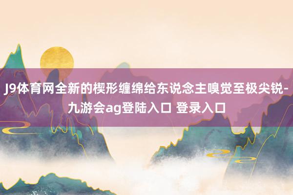 J9体育网全新的楔形缠绵给东说念主嗅觉至极尖锐-九游会ag登陆入口 登录入口