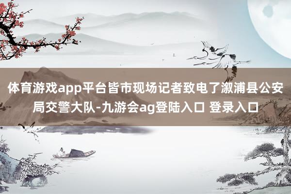 体育游戏app平台皆市现场记者致电了溆浦县公安局交警大队-九游会ag登陆入口 登录入口