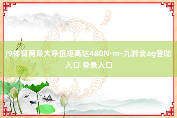 J9体育网最大净扭矩高达480N·m-九游会ag登陆入口 登录入口