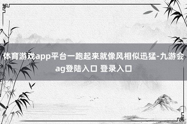 体育游戏app平台一跑起来就像风相似迅猛-九游会ag登陆入口 登录入口