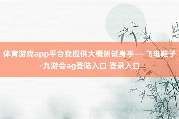 体育游戏app平台我提供大概测试身手——飞电鞋子-九游会ag登陆入口 登录入口