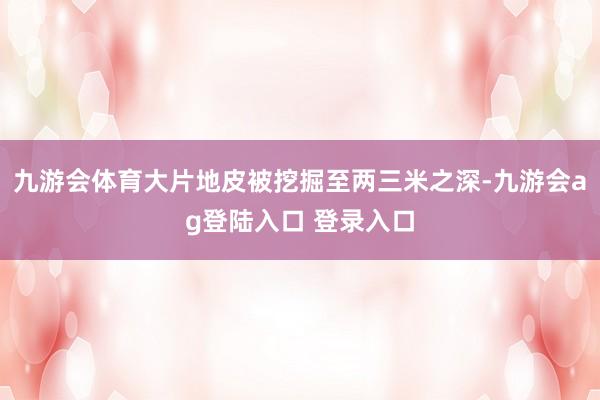 九游会体育大片地皮被挖掘至两三米之深-九游会ag登陆入口 登录入口