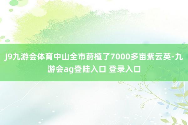 J9九游会体育中山全市莳植了7000多亩紫云英-九游会ag登陆入口 登录入口