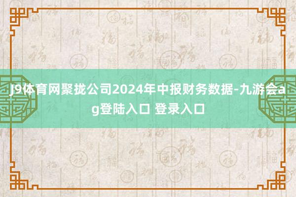 J9体育网聚拢公司2024年中报财务数据-九游会ag登陆入口 登录入口