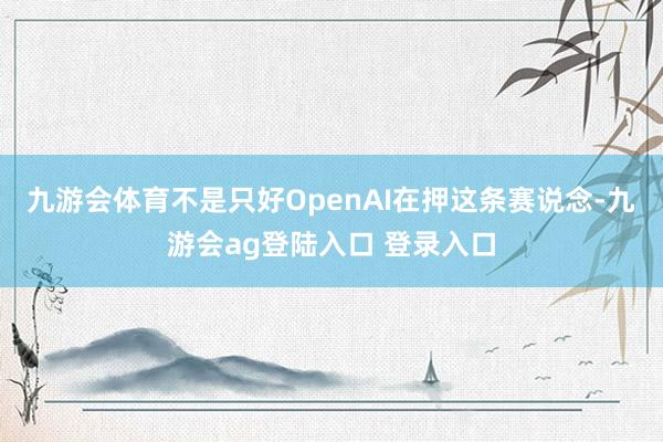 九游会体育不是只好OpenAI在押这条赛说念-九游会ag登陆入口 登录入口