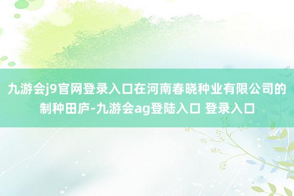 九游会j9官网登录入口在河南春晓种业有限公司的制种田庐-九游会ag登陆入口 登录入口